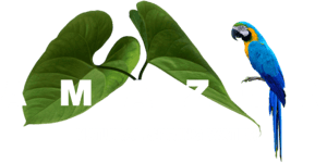 Amazon Natural Spring Water
